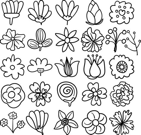 Flowers Hand Drawn Doodle Line Art Outline Set 11734783 Vector Art at ...