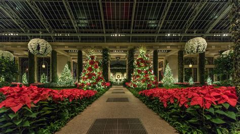 Awesome 15 Pics Longwood Gardens Christmas Light Display And Pics | Objetos