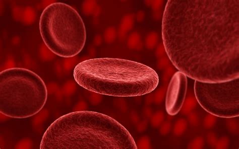 Red blood cells HD wallpaper | Wallpaper Flare