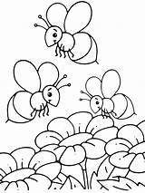 Honey Bee Adult Coloring Pages sketch template