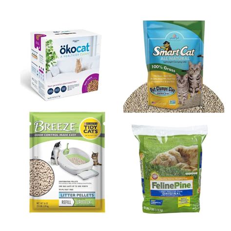 4 Best Cat Litter Pellets: Our Vets Picks