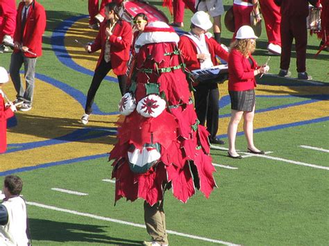 Strange Mascot: The History of The Stanford Tree | DeepRoot Blog