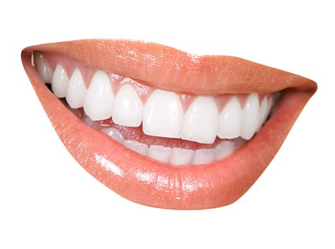 Teeth Mouth PNG Transparent Background, Free Download #46531 - FreeIconsPNG