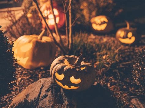 Halloween Pumpkins At Night Free Stock Photo - Public Domain Pictures