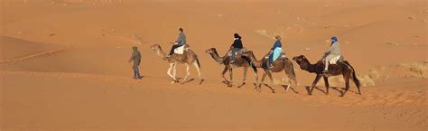 Sahara Tours – Trek Camel, Desert Tours, Hiking Holiday For Real Voyage