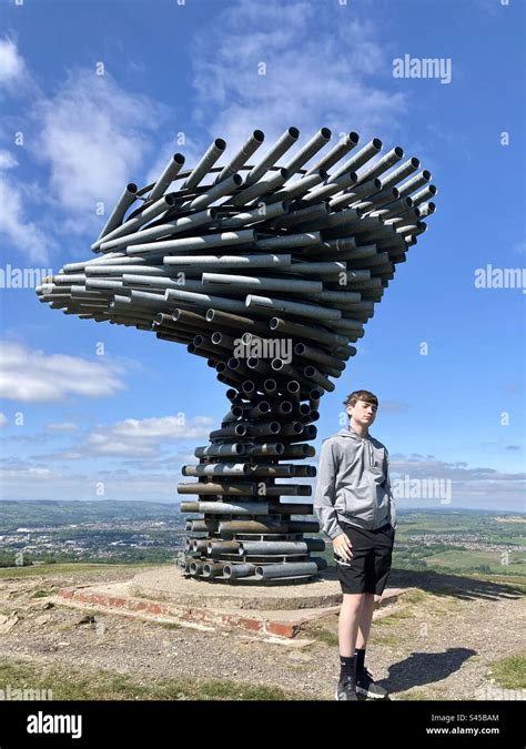 Tree art installation of hi-res stock photography and images - Alamy