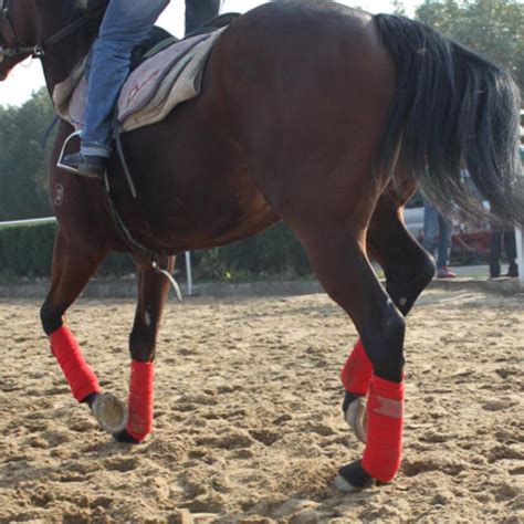 4pcs Horse Fleece Bandages Leg Wraps Stable Bandages Exercise Riding | eBay