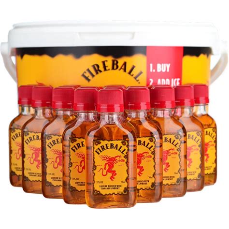 Fireball Cinnamon Whisky Liqueur Party Bucket 20 x 5cl - DrinksDirect.com