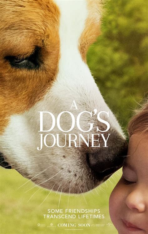 A Dog's Journey (2019) Pictures, Trailer, Reviews, News, DVD and Soundtrack