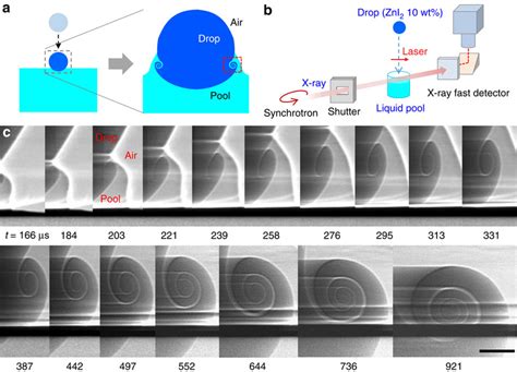 Formation of a vortex ring during drop impact. (a) Illustration of the ...