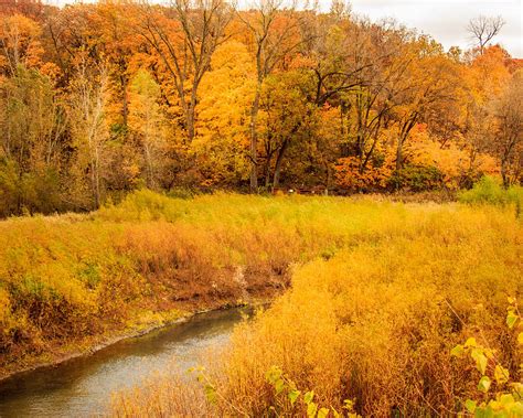 Scene of Gold Photograph by Shari Brase-Smith - Fine Art America