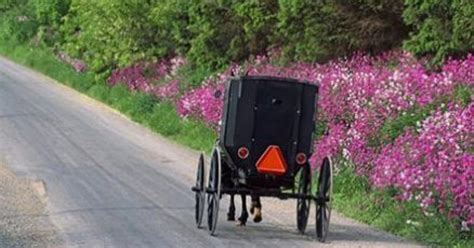 The traditional Amish youth period of Rumspringa | Ohio's Amish Country