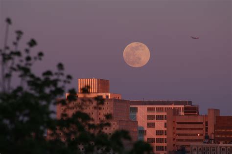 Beaver Moon: Longest lunar eclipse of the century set for Friday