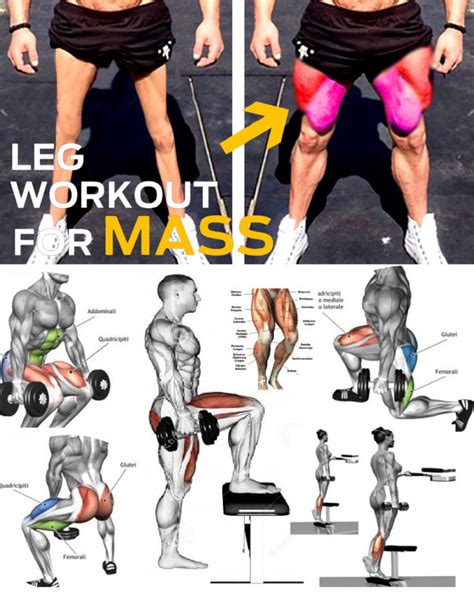 HOW TO LEGS GROW - SQUAT EXERCISE