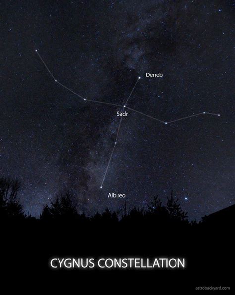 The Constellation Cygnus | Facts, Location, Photos and Mythology ...