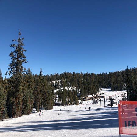 Badger Pass Ski Area (Yosemite National Park) - 2020 All You Need to ...