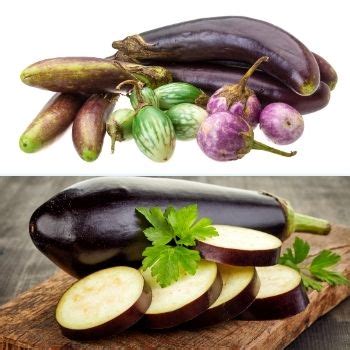 How to Grow Eggplant Seeds | The Seed Collection