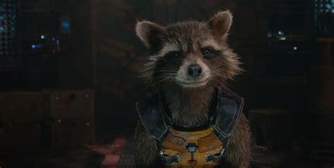 Rocket Raccoon Guardians Of The Galaxy, HD Movies, 4k Wallpapers, Images, Backgrounds, Photos ...