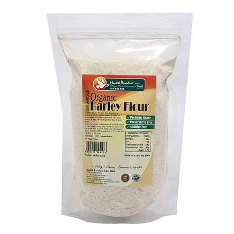 Health Paradise Organic Barley Flour 500g