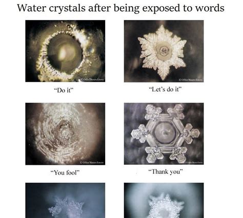 Masaru Emoto Water Experiment - Kizziwalob