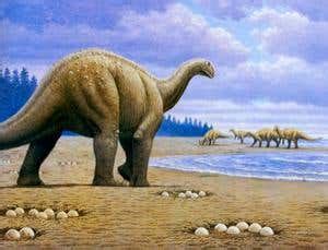 Antarctic fossil shows sauropod dinosaurs were global | New Scientist
