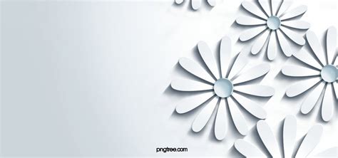 3d Paper White Flower Background, Paper Cut, S, Simple Background Image ...