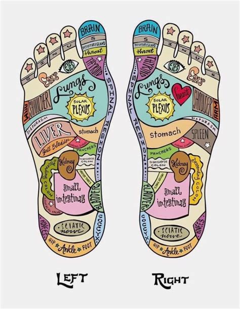 Massage Your Partner Home | Reflexology benefits, Reflexology ...