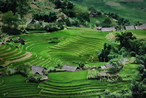 Rolling Rice Fields in Sapa, VietNam » Greg Goodman: Photographic Storytelling