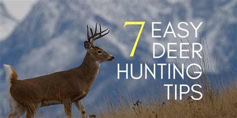 7 Insanely Simple Deer Hunting Tips - How to Hunt Deer