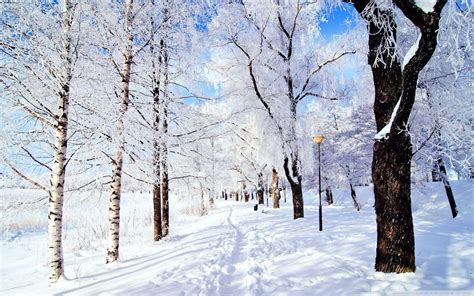 Winter Desktop Wallpapers - Top Free Winter Desktop Backgrounds - WallpaperAccess