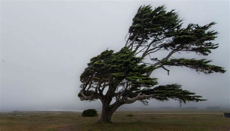 Gale force winds forecast to rip across New Zealand | Newshub