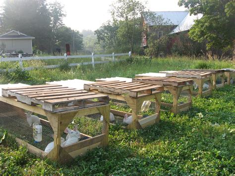 Preparing for Meat Rabbits. - The Elliott Homestead | Meat rabbits ...