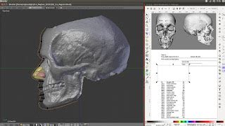 ATOR: Cro-Magnon - yet another forensic facial reconstruction