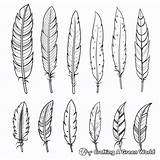 Feather Coloring Pages  Free & Printable sketch template