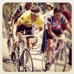 Bernard Hinault Quotes. QuotesGram