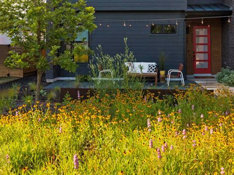 Eco-Friendly Front Yard Ideas That Don't Need Water | HGTV