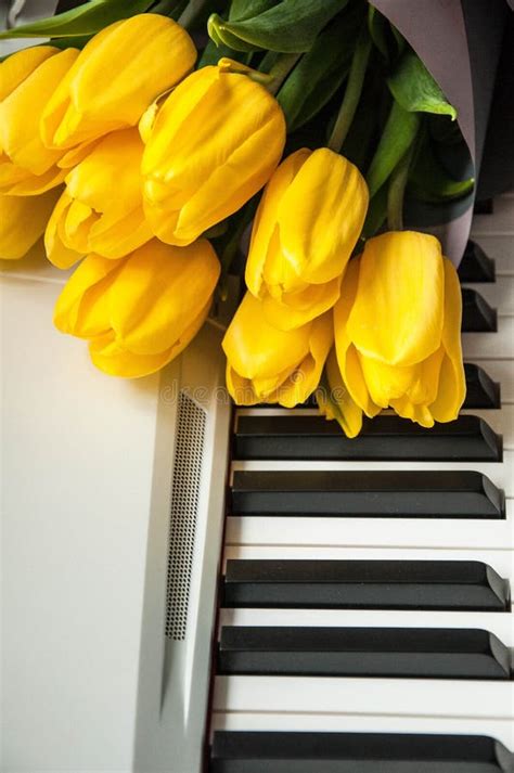 Romantic Flowers on the Piano Stock Photo - Image of melody, macro ...