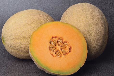 11 Tasty Cantaloupe and Other Melon Varieties Worth Trying - Growing Produce