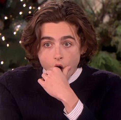 Pin by Kaylee Smith on Timothée uwu | Timothee chalamet, Boy hairstyles ...