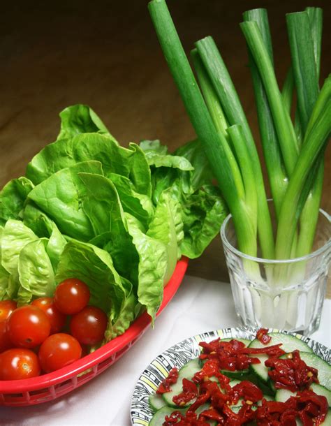 Essex Girl Cooks Healthy | Low Cholesterol | Spring Onion & Lettuce Salad