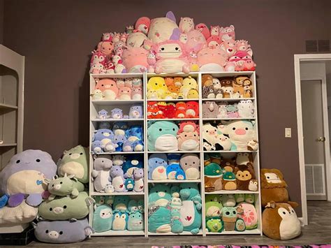 Squish organization | Cool fidget toys, Stuffed animal displays, Cute ...