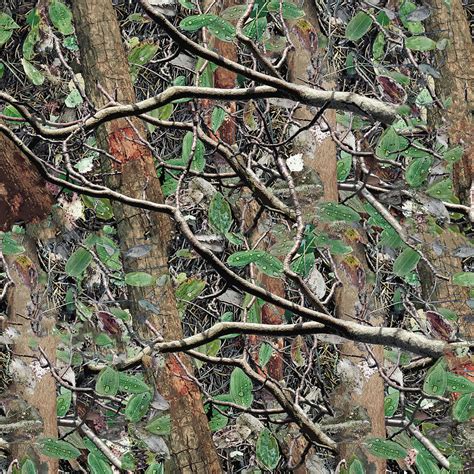 Hunting Camouflage Pattern 4 Digital Art by Jared Davies | Fine Art America