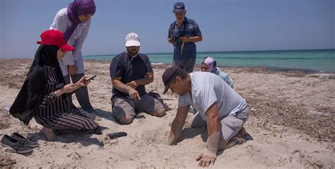 Establishing Environmental Awareness About the Importance of Farwa ...