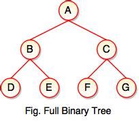 Types of Binary Tree