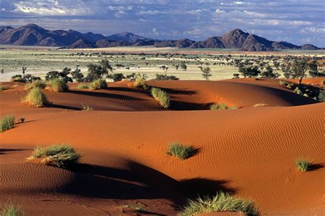 Namib Desert, Namibia [1999x1333] : EarthPorn