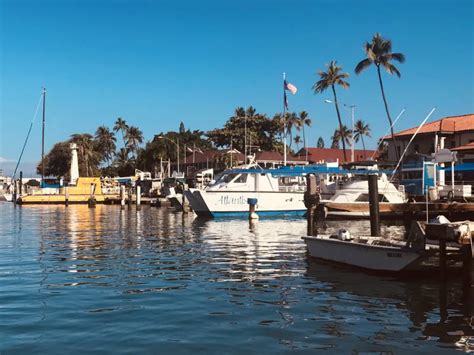 Why We Love Winter in Lahaina, Maui - Hawaii Real Estate Market ...