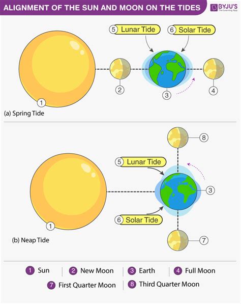 Tidal Energy- Advantages & Disadvantages | Tides | Renewable Resources