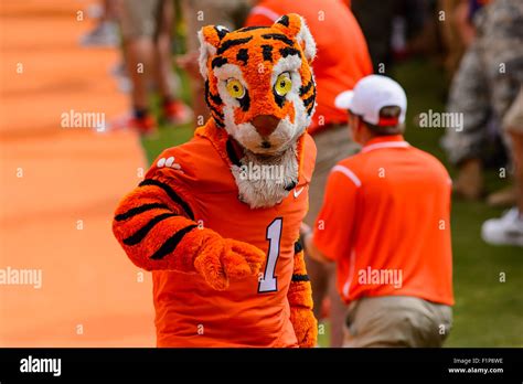 Clemson mascot the tiger hi-res stock photography and images - Alamy