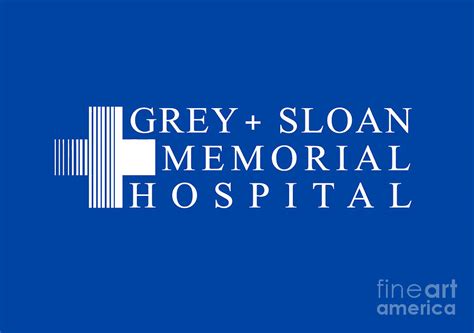 Grey Sloan Memorial Hospital Digital Art by Margaret L Mumma - Fine Art America