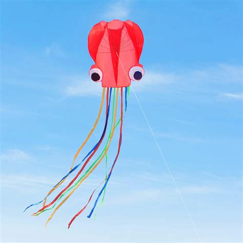 DOCOO Large Octopus Kites for Children and Adults,Stunt kite,Rainbow ...